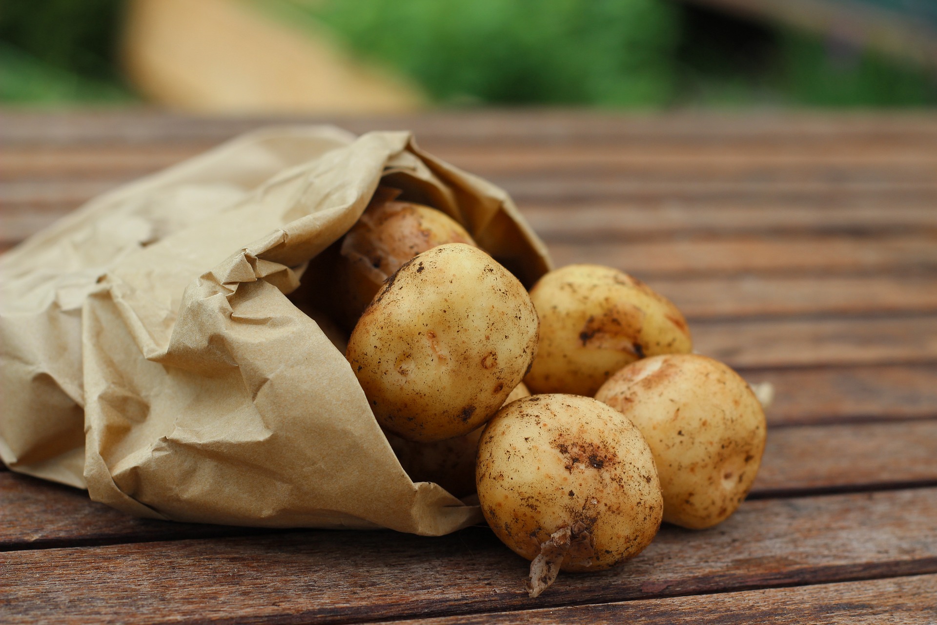 Smashed Potatoes (Quelle: Pixabay.com)