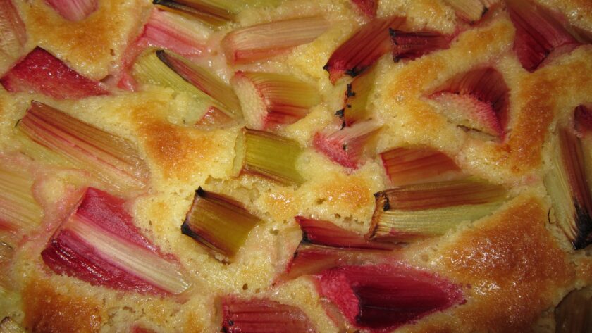 Saftiger Rhabarberkuchen