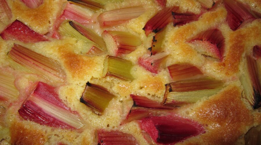 Saftiger Rhabarberkuchen