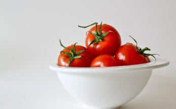 Tomaten-Marmelade