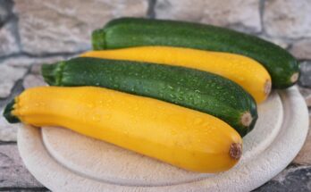 Zucchini-Relish