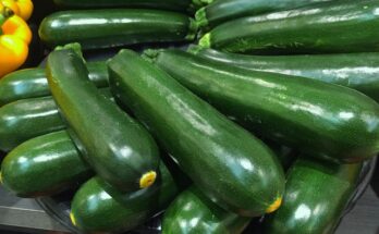 Gefüllte Zucchini