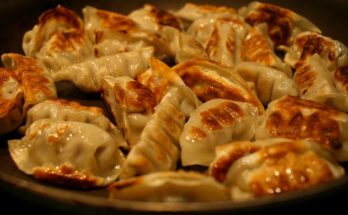 Dumpling-Lasagne