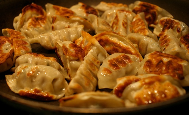 Dumpling-Lasagne